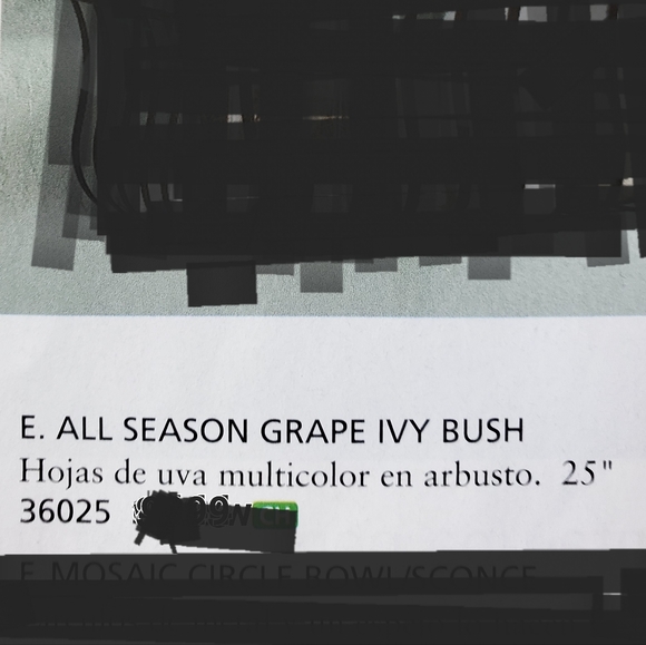 All Season Grape Ivy bush NEW goes w/everything Home Interiors - Picture 13 of 13